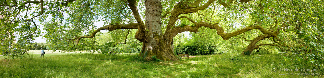 Mottisfont Abbey 1