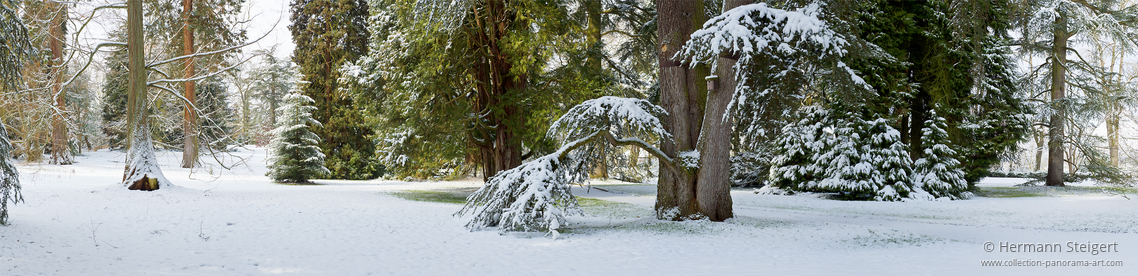 Arboretum im Winter