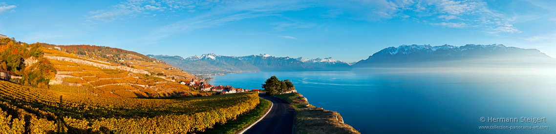 Blick auf den Genfersee und die Weinberge