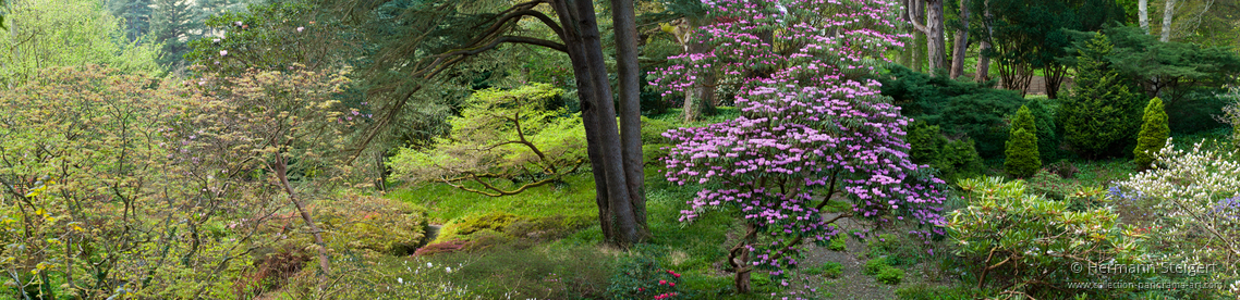 Bodnant Garden 11