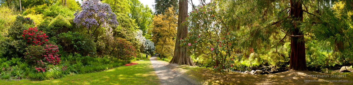 Bodnant Garden 12 Bodnant Garden 12