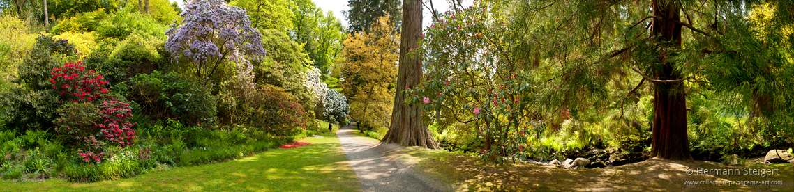 Bodnant Garden 12