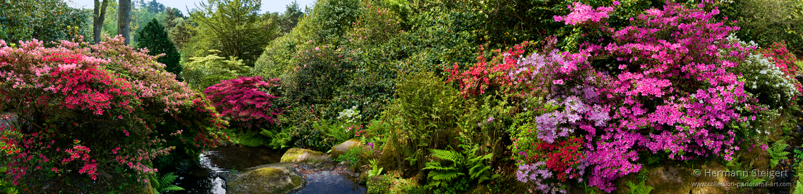 Bodnant Garden 3