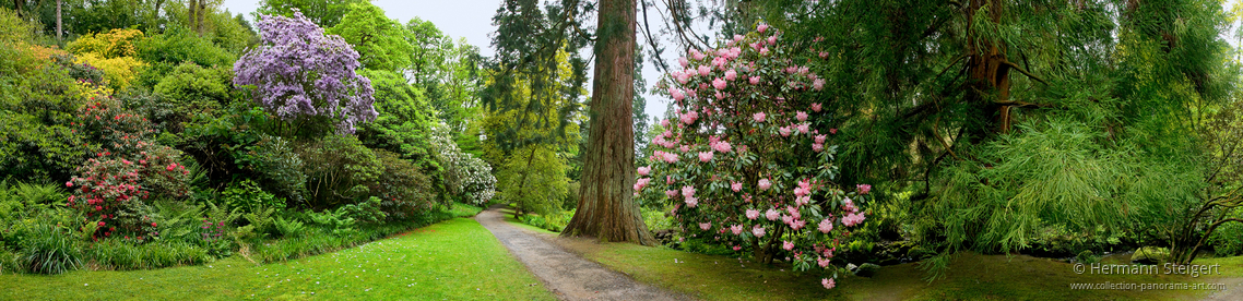 Bodnant Garden 5 Bodnant Garden 5