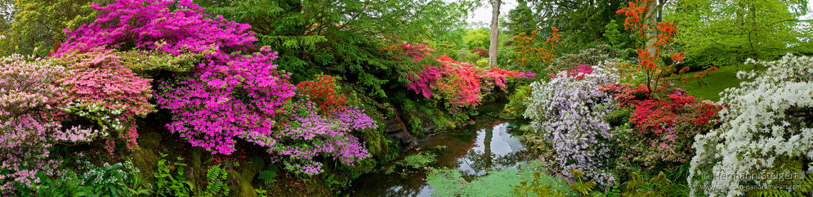 Bodnant Garden 6 Bodnant Garden 6