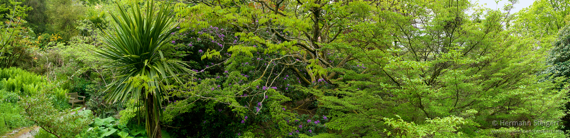 Cotehele House and Gardens 1