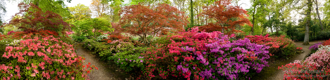 Exbury Gardens 1 Exbury Gardens 1