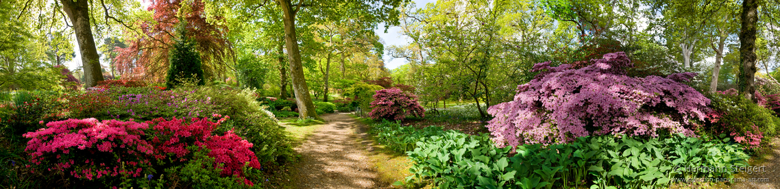 Exbury Gardens 11