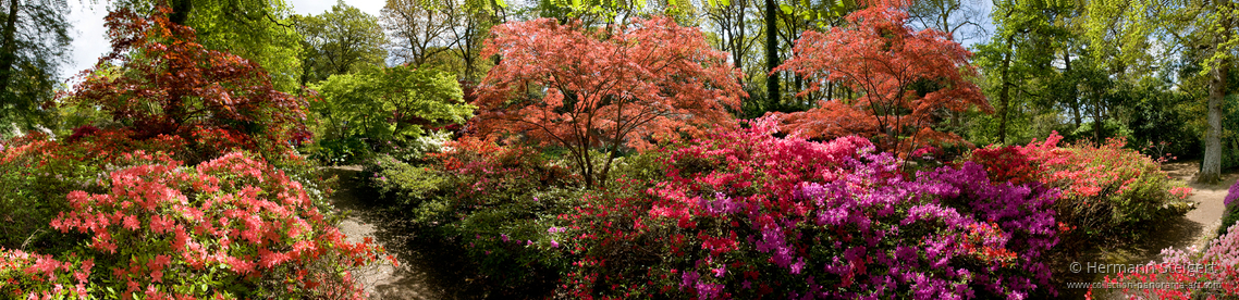 Exbury Gardens 2 Exbury Gardens 2
