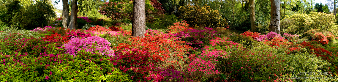 Exbury Gardens 3 Exbury Gardens 3