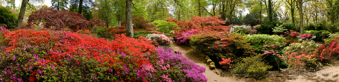 Exbury Gardens 5 Exbury Gardens 5