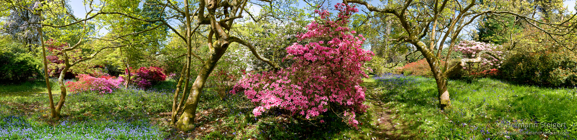Exbury Gardens 6 Exbury Gardens 6