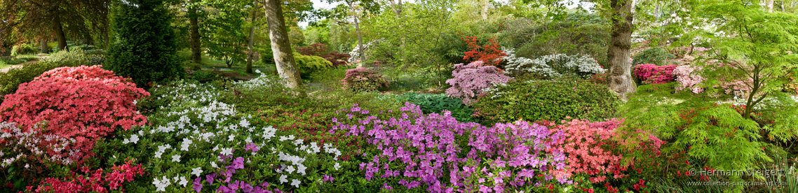Exbury Gardens 7 Exbury Gardens 7