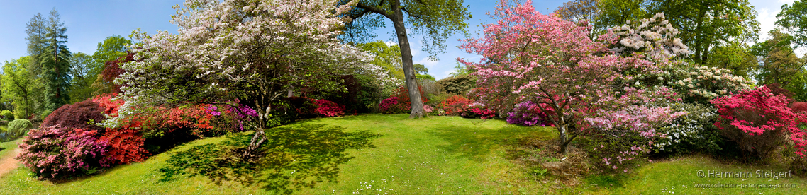 Exbury Gardens 9 Exbury Gardens 9