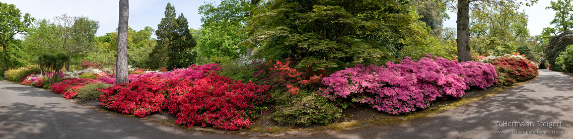 Exbury Gardens