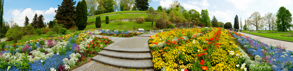 Frühlingsblüte auf der Insel Mainau