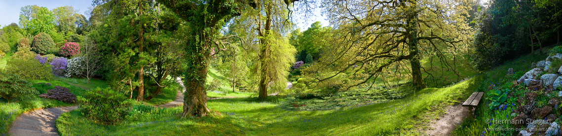 Glendurgan Garden 2