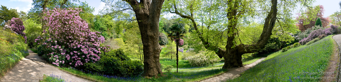 Glendurgan Garden 4