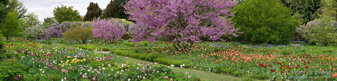 Hermannshof im Frühling