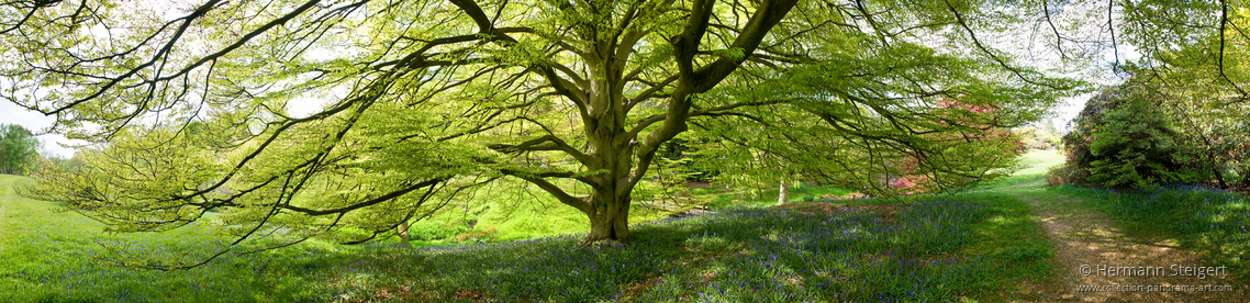 High Beeches Gardens