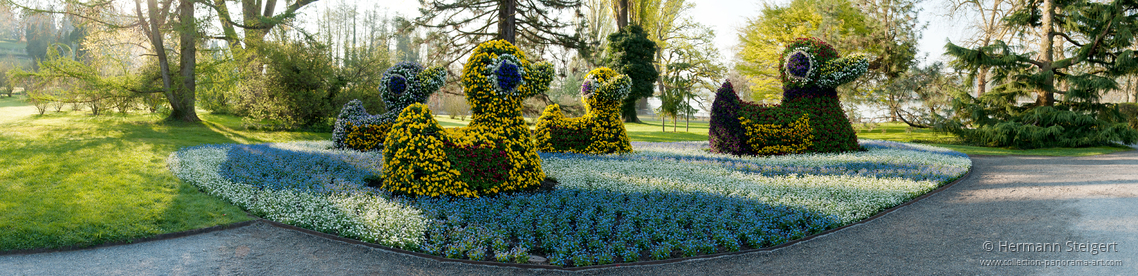 Insel Mainau