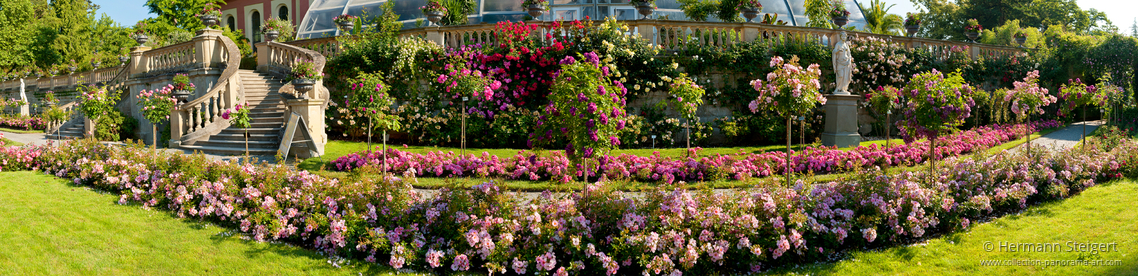 Italienischer Rosengarten auf der Insel Mainau Italienischer Rosengarten auf der Insel Mainau