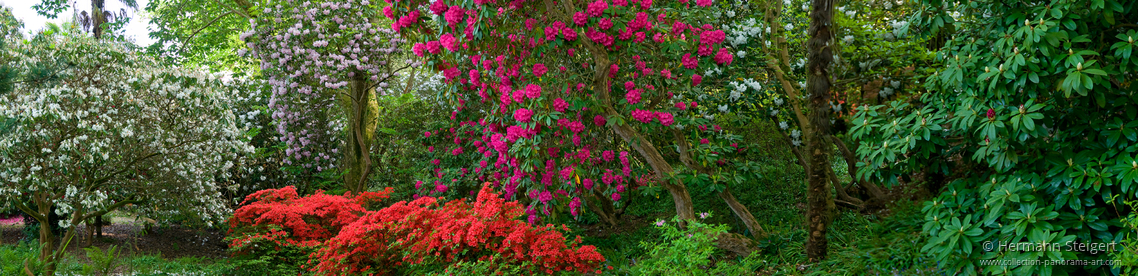 Leonardslee Gardens 1