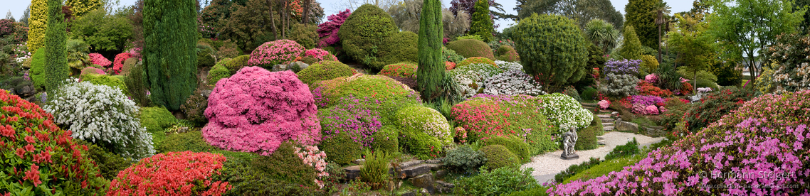 Leonardslee Gardens 