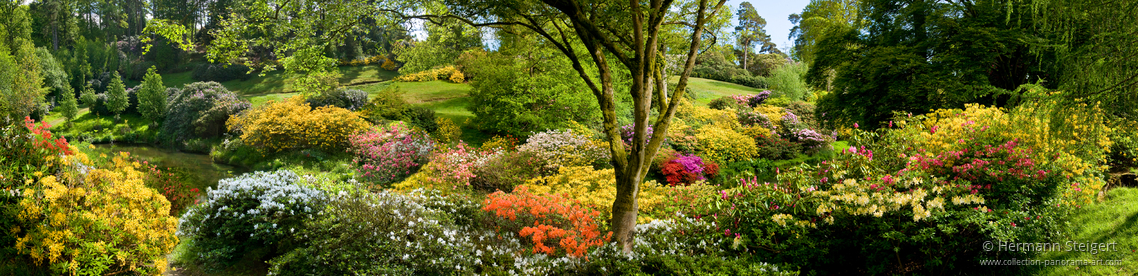 Leonardslee Gardens 6