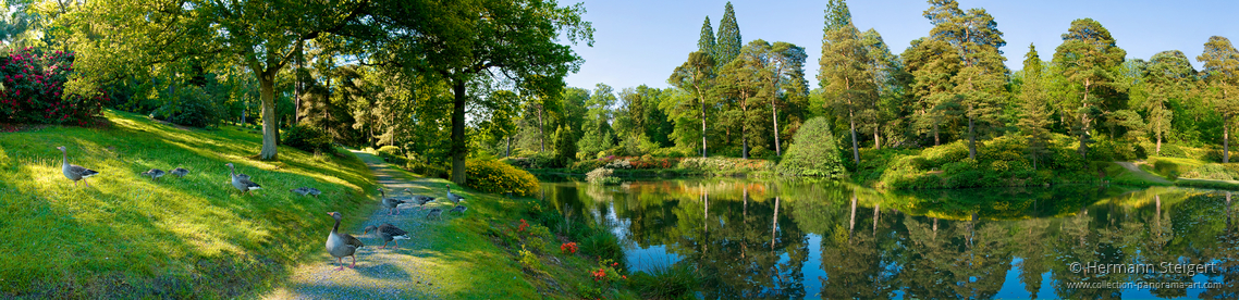 Leonardslee Gardens 7