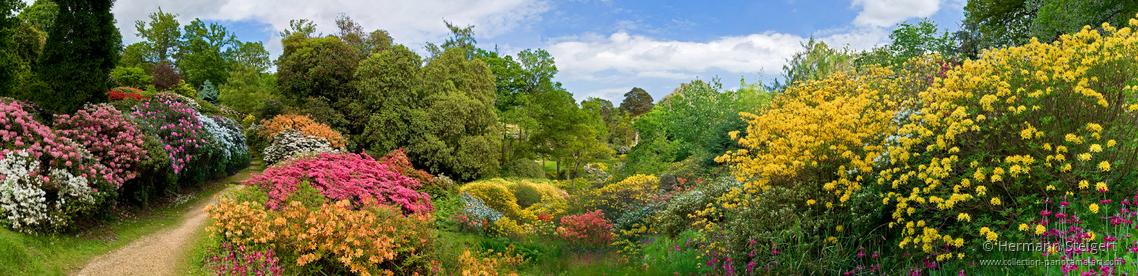 Leonardslee Gardens