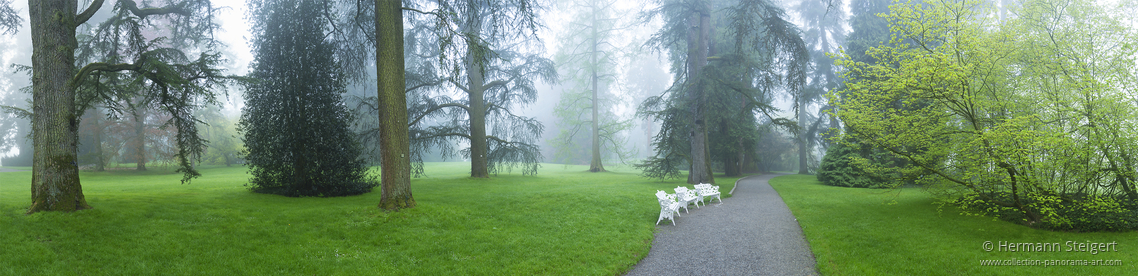 Nebelstimmung im Arboretum