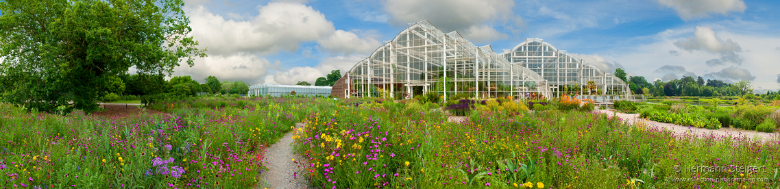 RHS Garden,Wisley 10