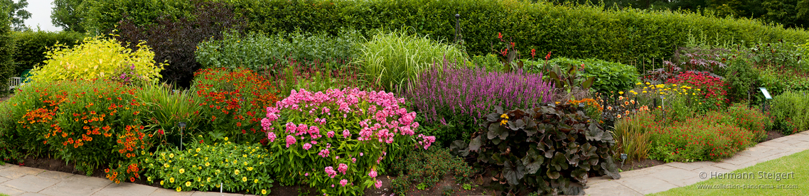 RHS Garden,Wisley 18 RHS Garden,Wisley 18