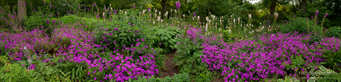 RHS Garden,Wisley 2