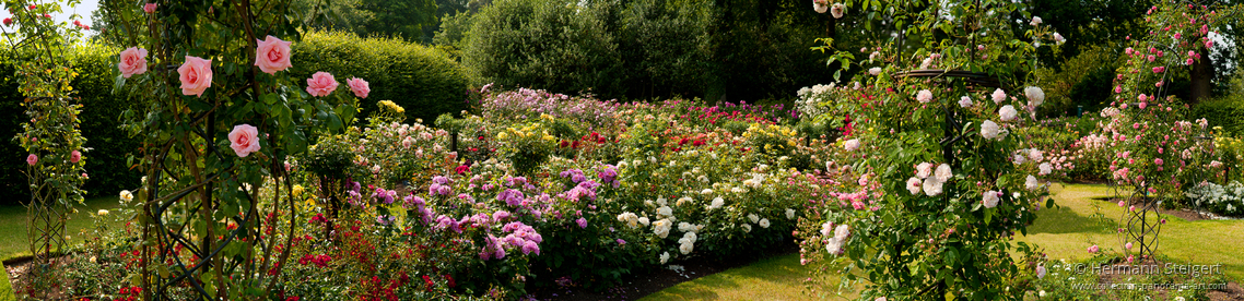 RHS Garden,Wisley 6 RHS Garden,Wisley 6
