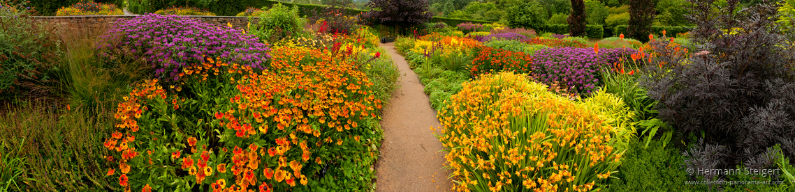 Rosemoor Garden 8