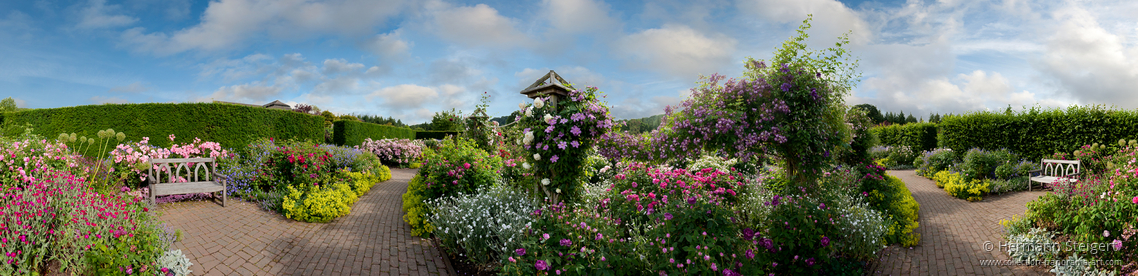 Rosemoor Garden 1