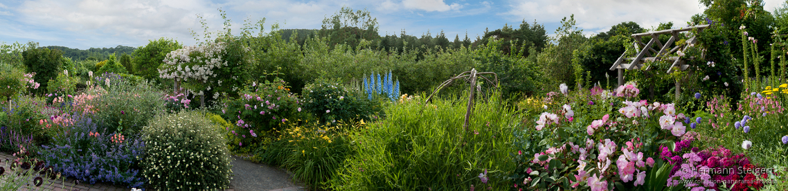 Rosemoor Garden 5