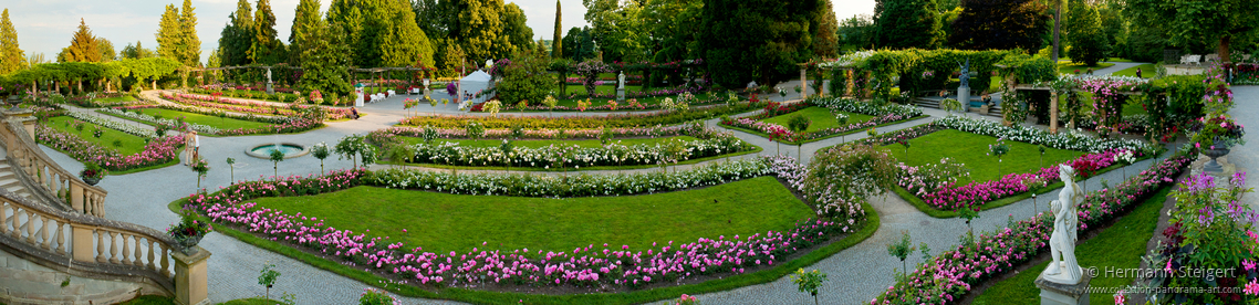 Rosenblüte auf der Insel Mainau Rosenblüte auf der Insel Mainau