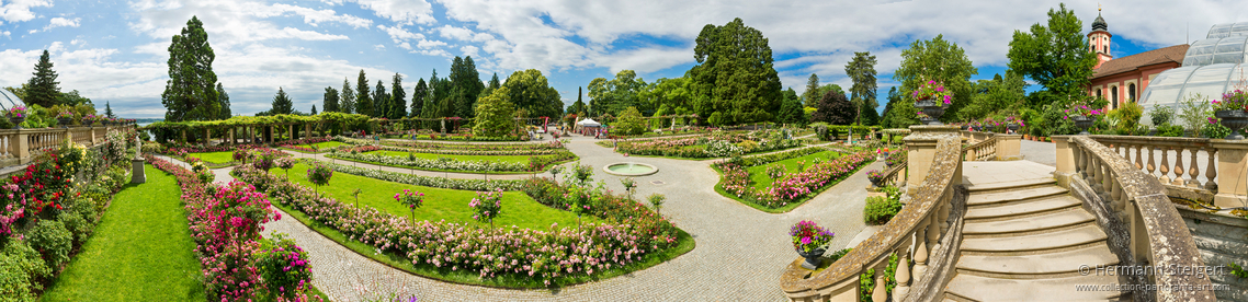 Rosengarten und Treppenaufgang auf der Insel Mainau Rosengarten und Treppenaufgang auf der Insel Mainau