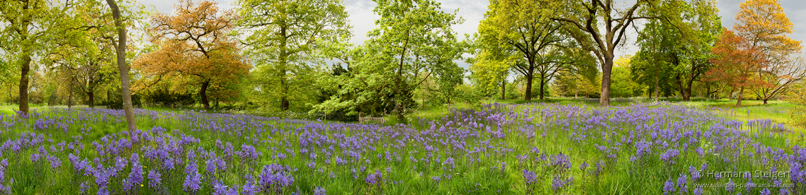 Royal Botanic Gardens Kew 1