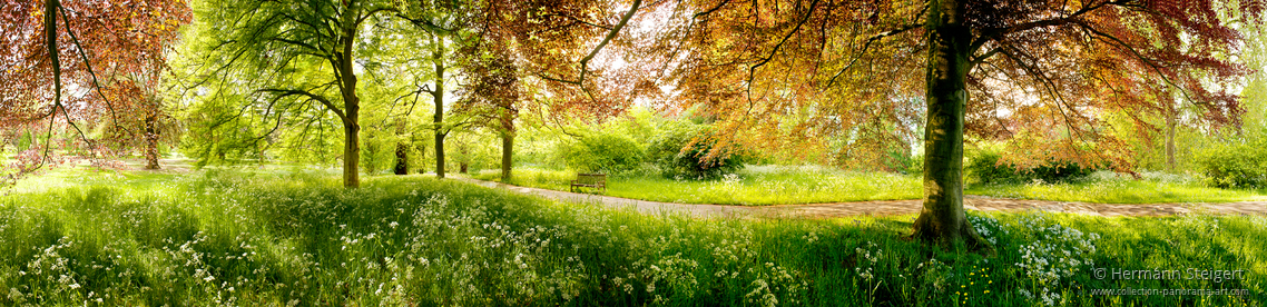 Royal Botanic Gardens Kew