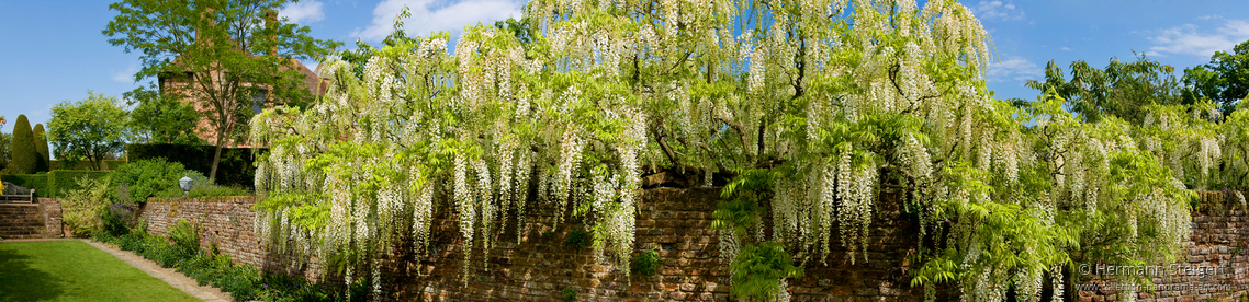 Sissinghurst Castle 11