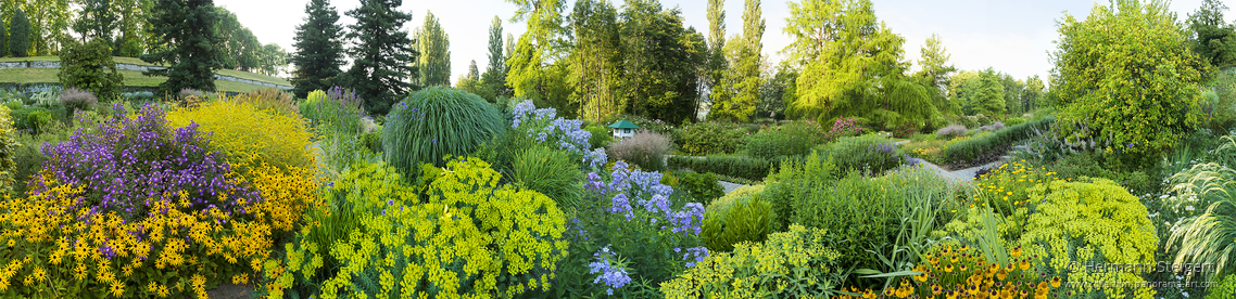 Im Staudengarten