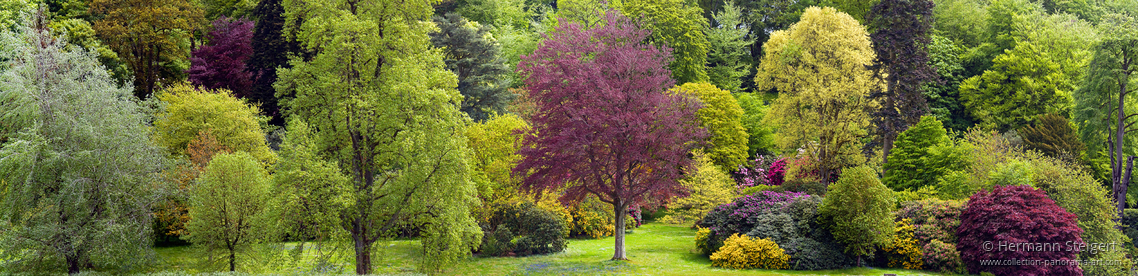 Stourhead 5