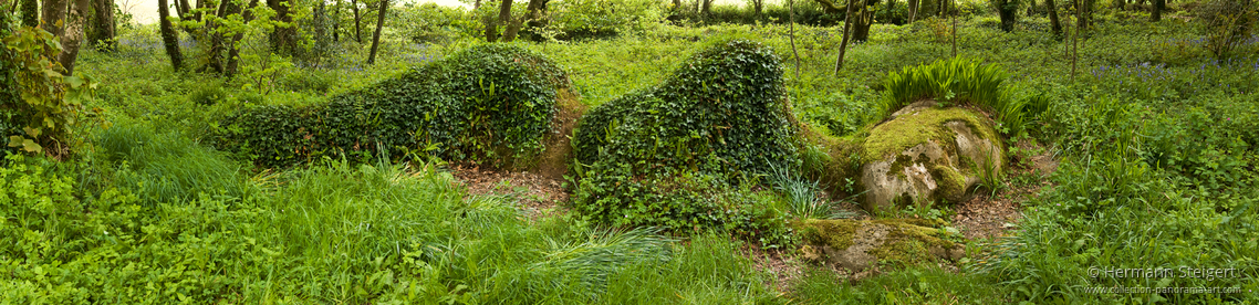 The Lost Gardens of Heligan