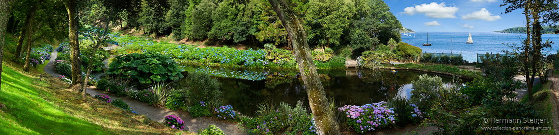 Trebah Garden 10 Trebah Garden 10