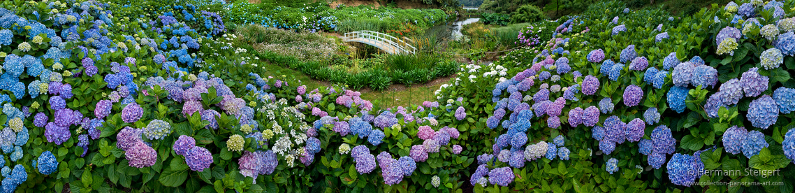 Trebah Garden 2 Trebah Garden 2