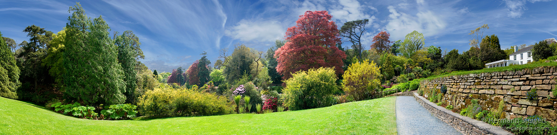 Trebah Garden 4 Trebah Garden 4